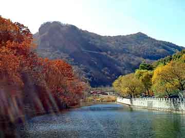 新澳天天开奖资料大全旅游团，修真小说